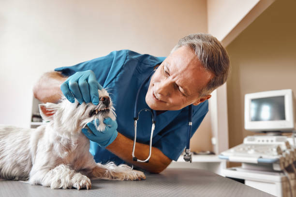 Best Same-Day Emergency Dental Services in Blanchester, OH